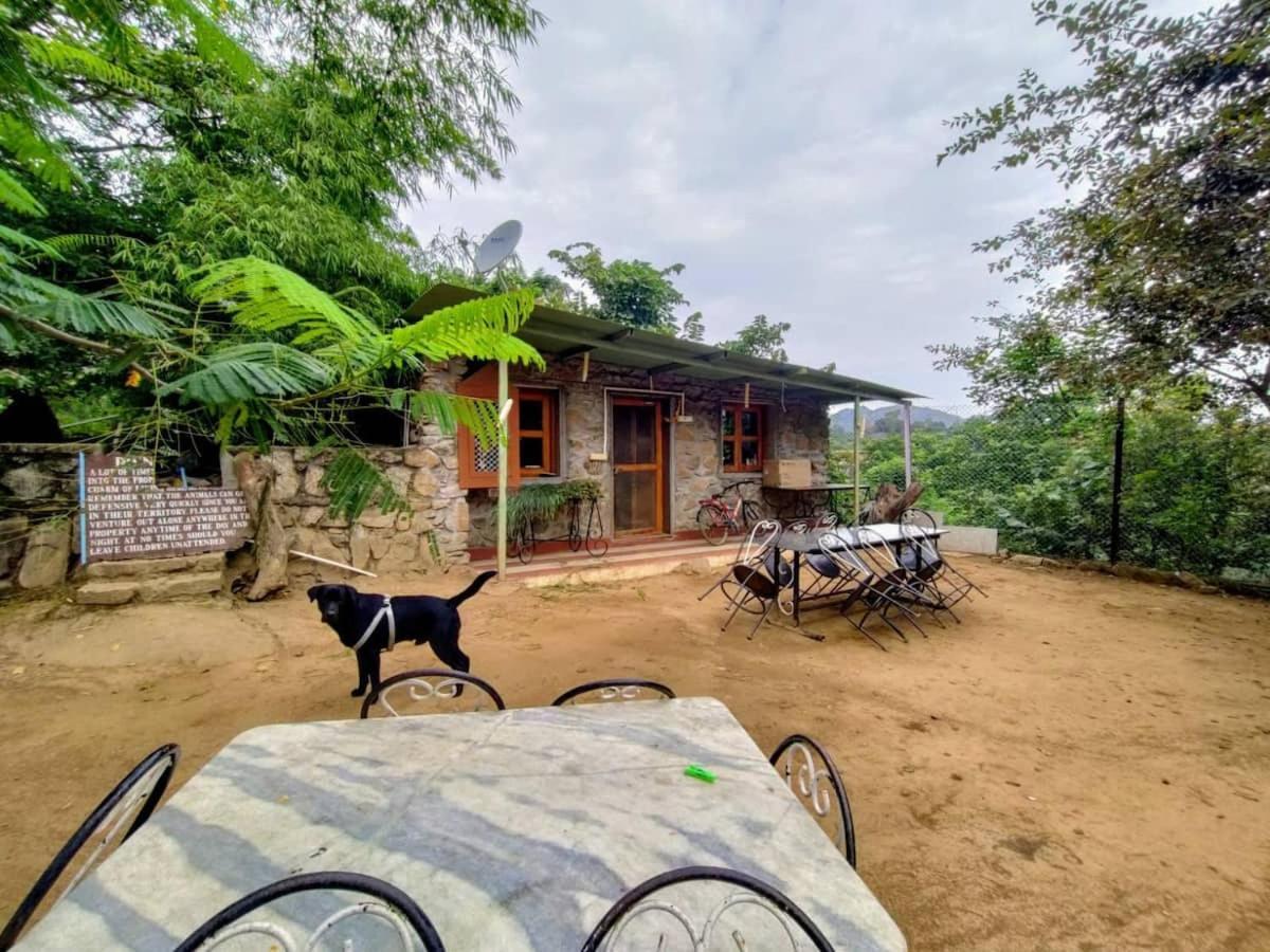 Dude Ranch Villa Ābu Exteriör bild